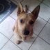 Heather Williams (@heather1273) Twitter profile photo