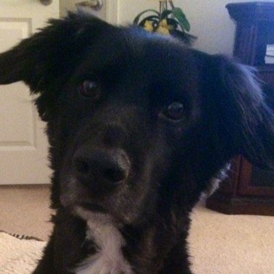 buddy3288's profile picture. 