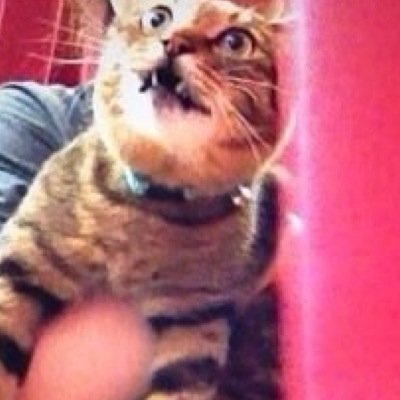は * るさんのプロフィール画像