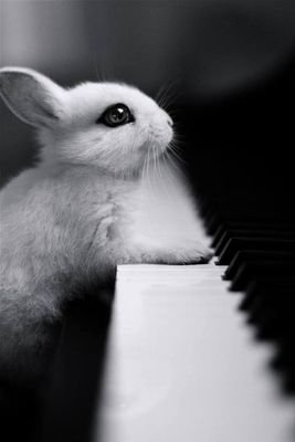 History2341's profile picture. .......... 15