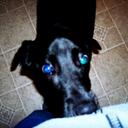 andrew roche - @slayer1230 - Twitter