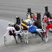 YonkersFrance's profile picture. L'actu de l'hippodrome de Yonkers à New York (USA) en français... #YonkersRaceway #YesYouDan #YonkersFrance #Crown14 #HarnessRacingFZ