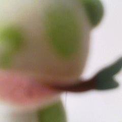 何もせず　酒だけ飲んで　生きている