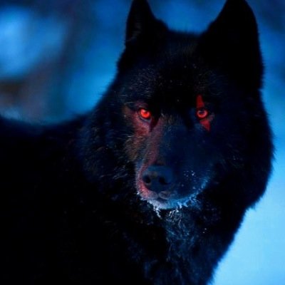 The Names Darkur,Dark For Short And Im The Guardian Of The Forest,But I Got a Scar,I Help Anyone In Need,The Colour Of My Eyes Judge My Mood.#Rp #Male