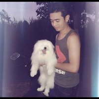 vino (@dedi_arta) 's Twitter Profile