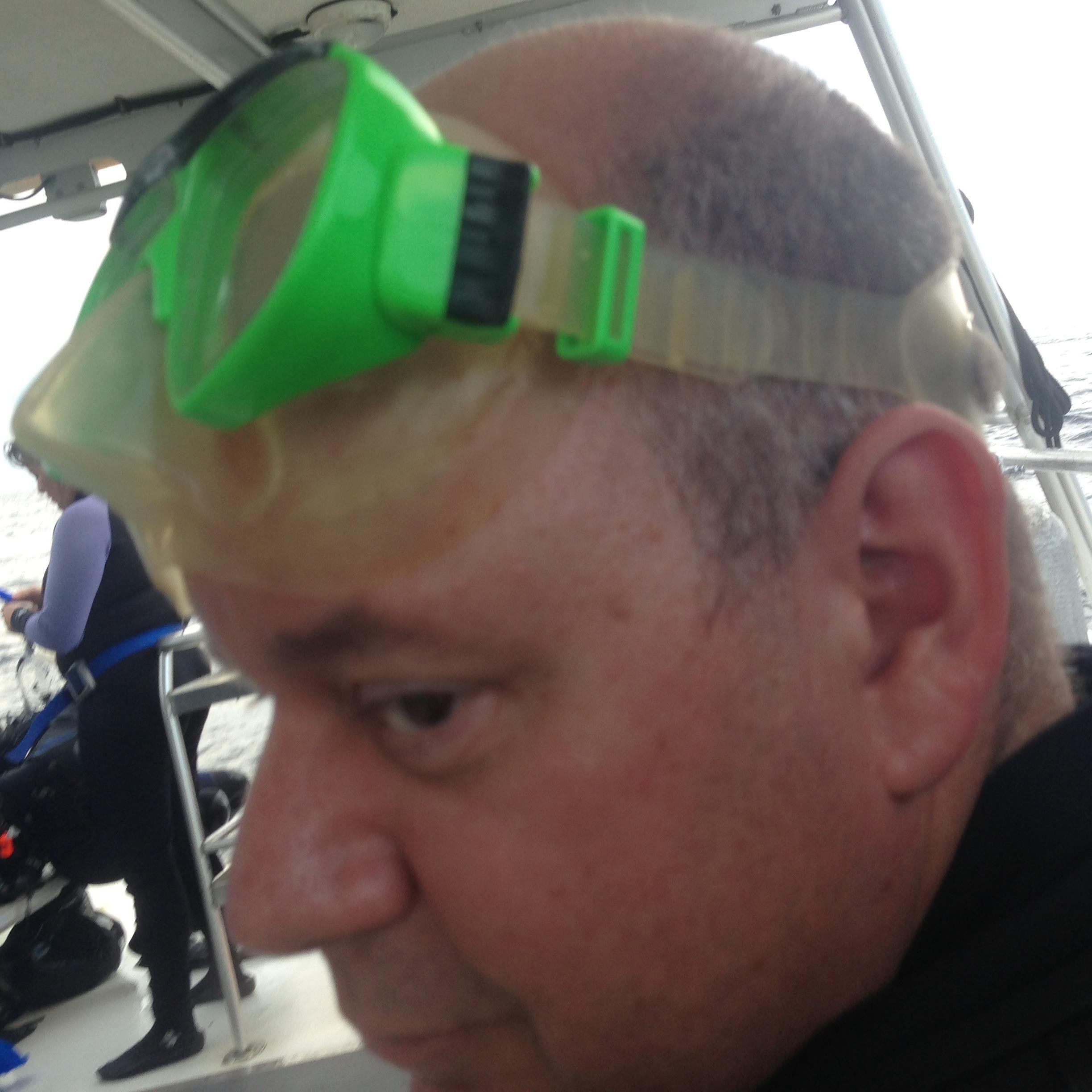 datawhit's profile picture. Experienced Information Technology and Human Resources Professional