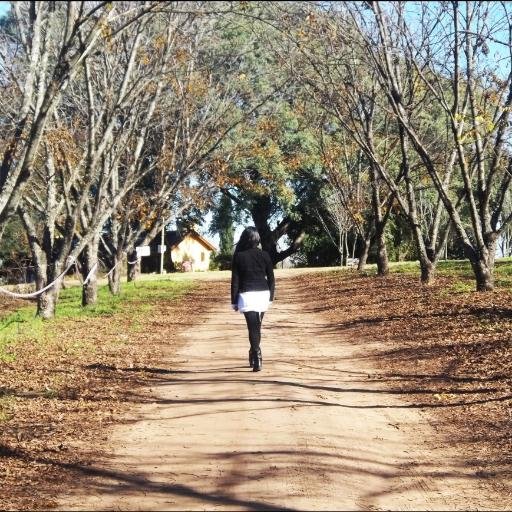 BelFedu's profile picture. 