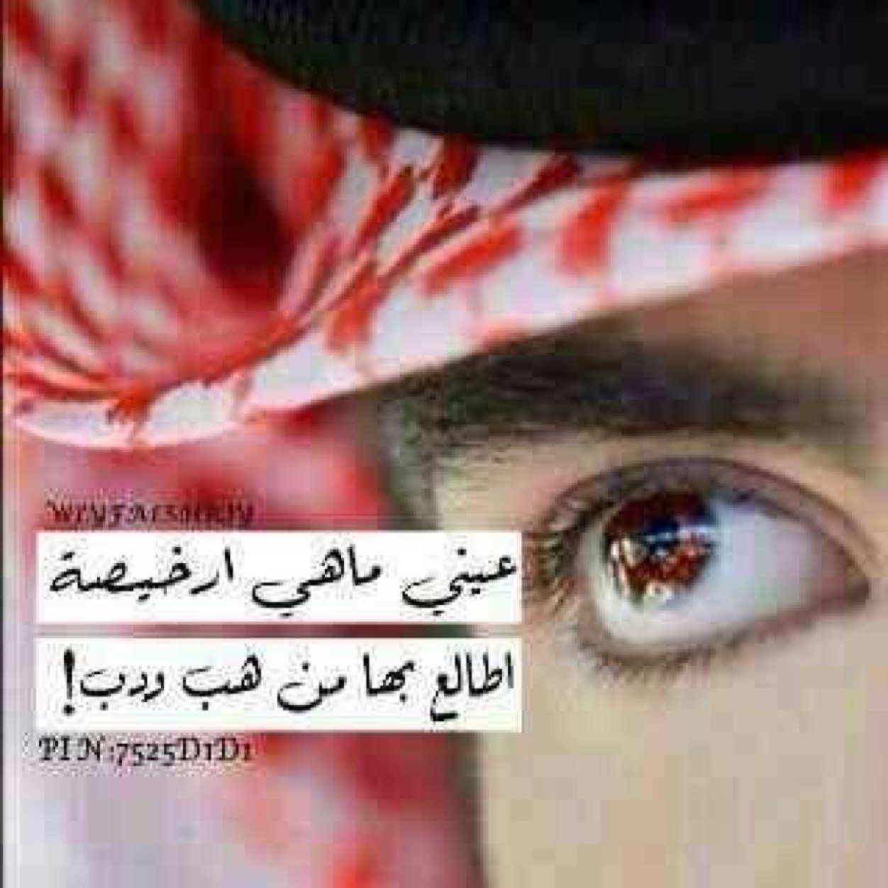 ‏وكم من رجل ارتقاء حينما قدر وجودها ونظر بعين عقله الى الجنه التي تكون تحت قدميها فهي الانثى ارقى من نظرت الكثير منا اليهم فهي ام واخت وزوجه وابنه