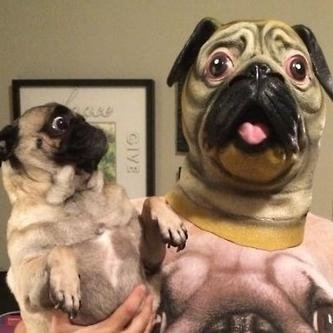 discusssy's profile picture. Shut up, I'm doing an experiment over here!