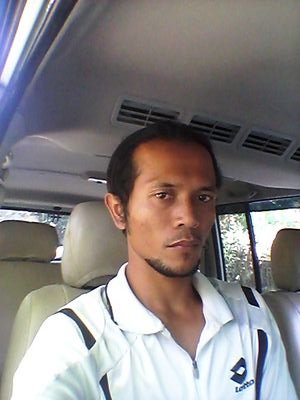 tintin tour and trevel go to bali