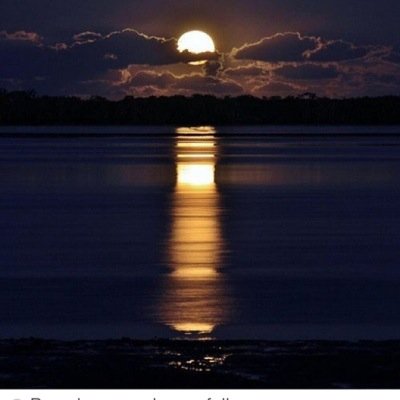 PokKoKoe's profile picture. 