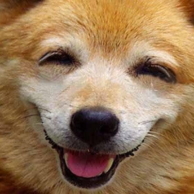 《笑顔は心の栄養》仕事や勉強の息抜きに、見てくれれば幸いです！気軽にRT,フォローお願いします！