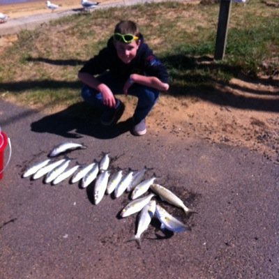 billyboy561's profile picture. hey guys lachie I go around weaternport or anderson inlet at inverloch trying to catch any fish dad and me can if you have any tips or want to know anything ask