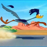 Stefan Derluyn (@rowdrunner) 's Twitter Profile