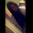 ShannonxPryer's profile image