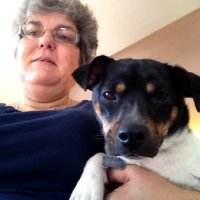 Carole Hughes (@hughessss101) 's Twitter Profile Photo