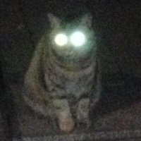 Yohei Noda (@positiveflat) 's Twitter Profile