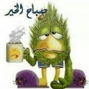 Noel Lebron Youl - @Noelyoul - Twitter