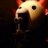 insea's profile image