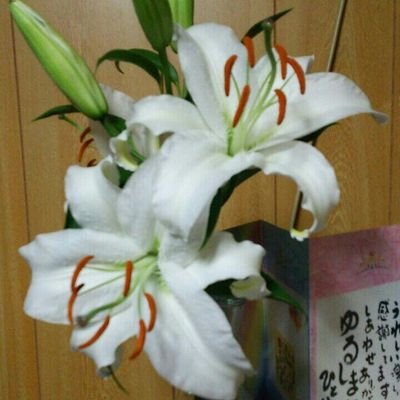 gucci1228sator1's profile picture. 