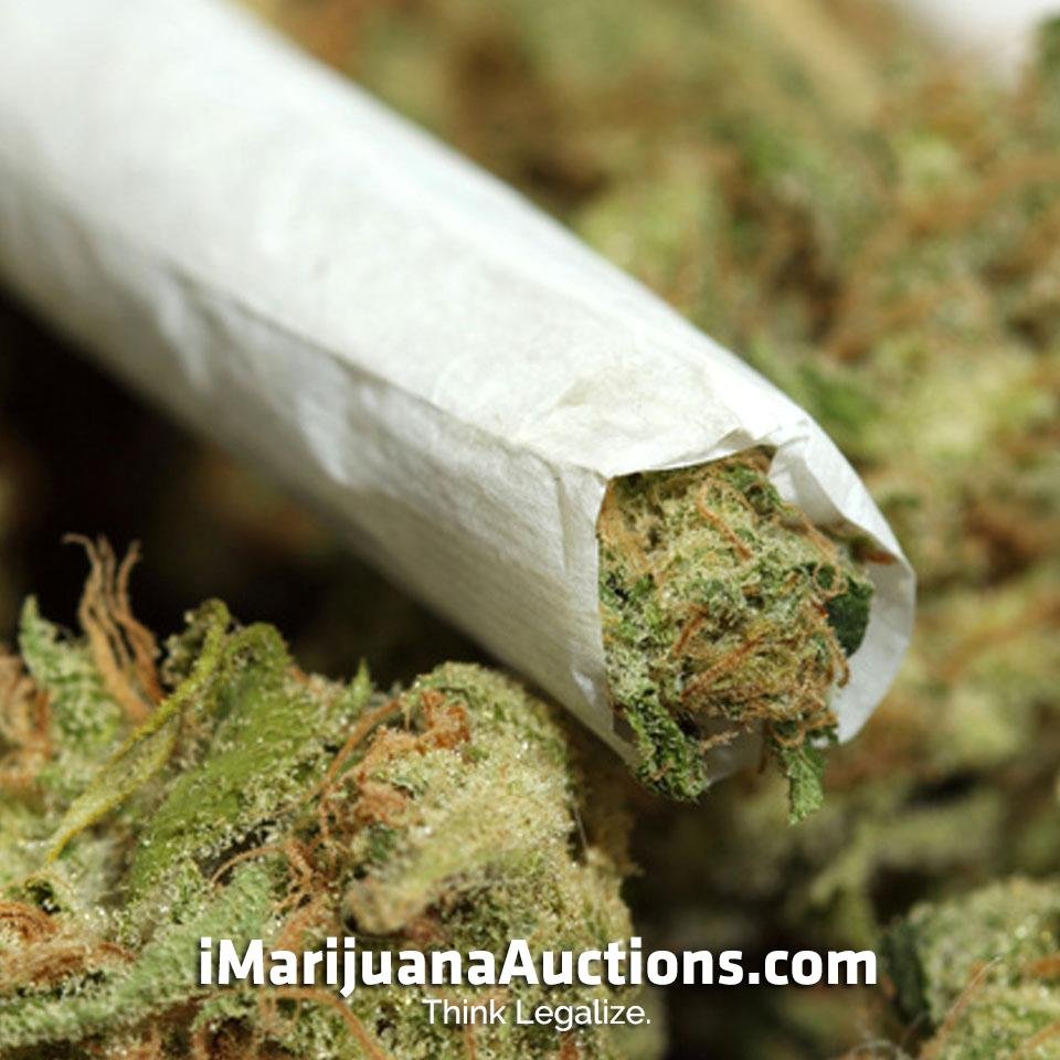 WeedAuctions's profile picture. Soft-launching the new Marijuana auction & 'Purchase Now' global community designed to empower millions of Cannabis & Hemp retailers and consumers worldwide.
