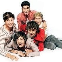 i am a 1d fan. niall ate my bio