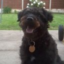 Kimberley Hamilton - @handmeback - Twitter