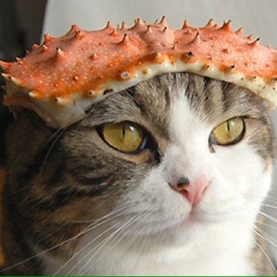 purin_sweet's profile image