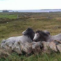 Caoimhe Delany (@caoimhedelany) 's Twitter Profile Photo Caoimhe Delany (@caoimhedelany) 's Twitter Profile Photo