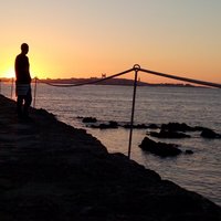 Alejandro (@zzalexm) 's Twitter Profile