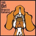 Pam Bell - @pamelabll - Twitter