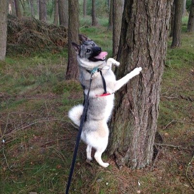 yakca_'s profile picture. 