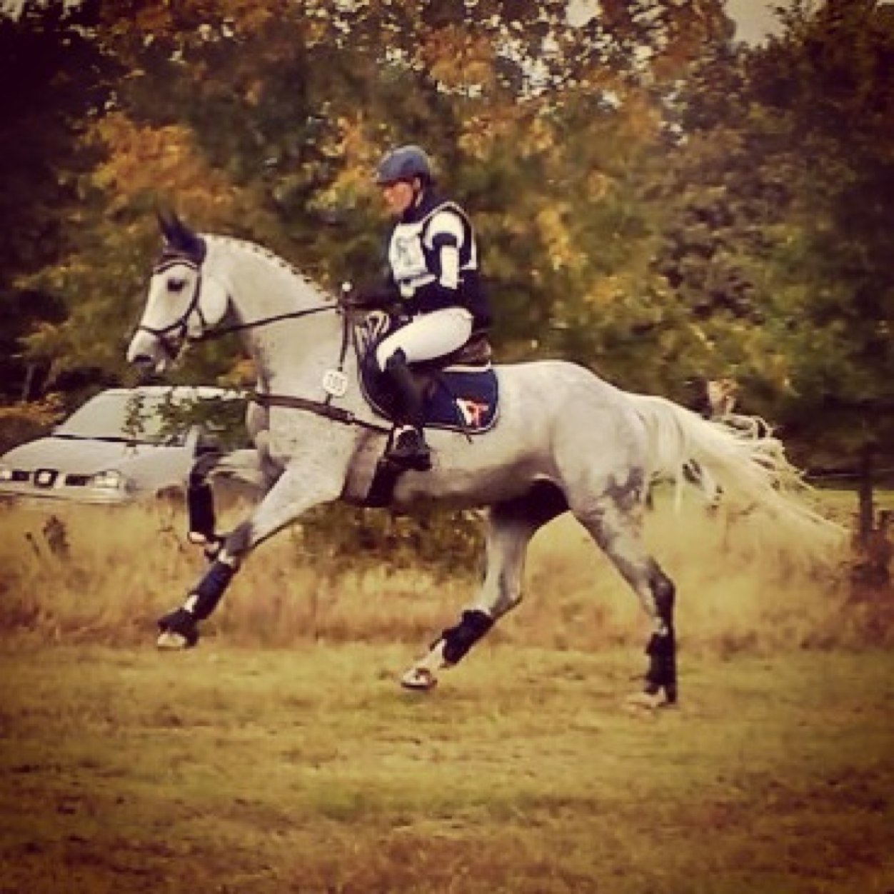 Profilryttare Horse1