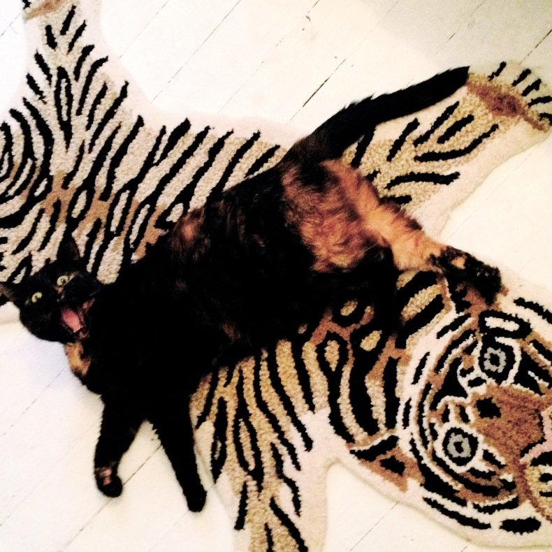 Angelique211's profile picture. 