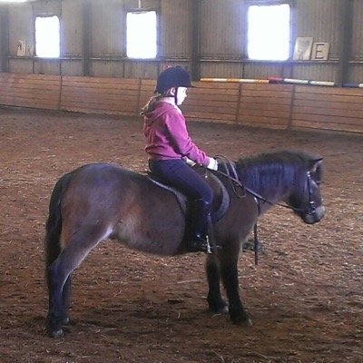 lucy_knight_12's profile picture. horses