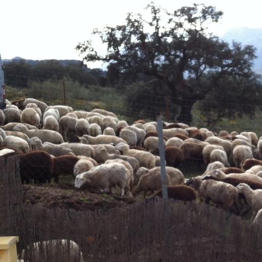 Retired now and living a gentle life in Coín, Spain. Worried for the future of our youth and the honesty in our government.