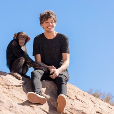 @niaIlsfault