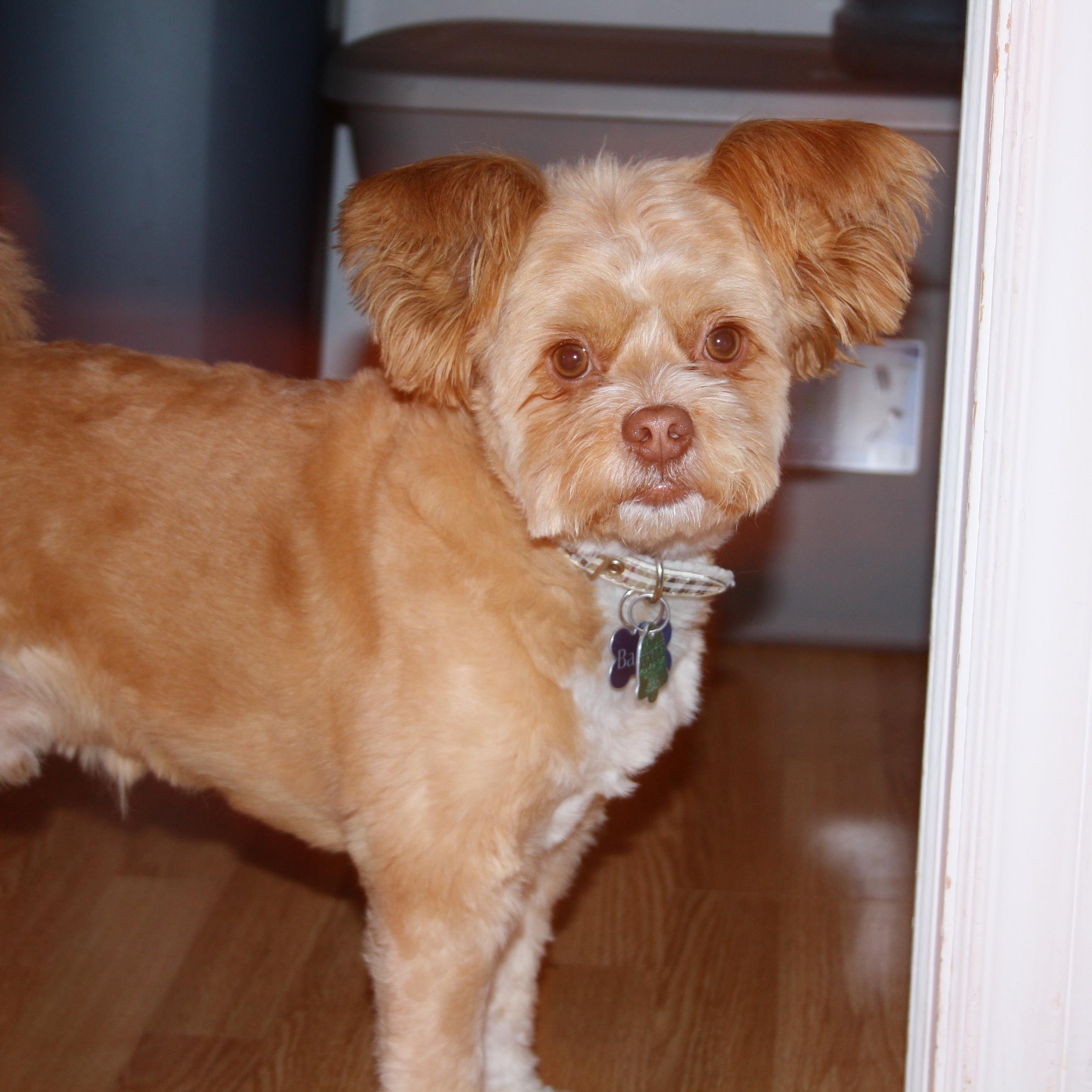 Worth111's profile picture. 