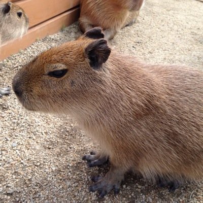 自由気ままに