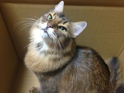 ジャズは名倉、ポップはフォーマーアクションが好きです。いいね！押したり習いたいと言いながら習わないのは申し込み方がわからない時。