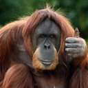 maurice devlin - @de_mo1 - Twitter