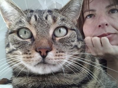 brittewarnaar's profile picture.