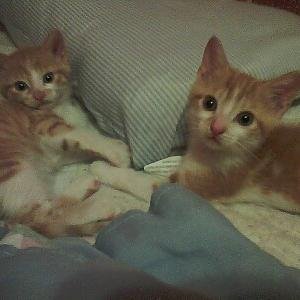 50571964's profile picture. wife, mom, empath, have been know to dabble in witchcraft... hey whatever works 😉😉😉