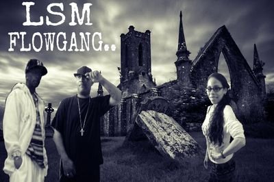 LSMUSIC FLOWGANG
