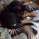 tammy Doherty - @doherty_tammy - Twitter