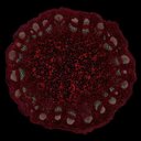 D. R. - @DanielRiebeling - Twitter