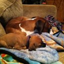 anna moffitt - @moffitt_anna - Twitter