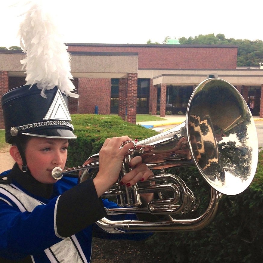roslynband sandvox