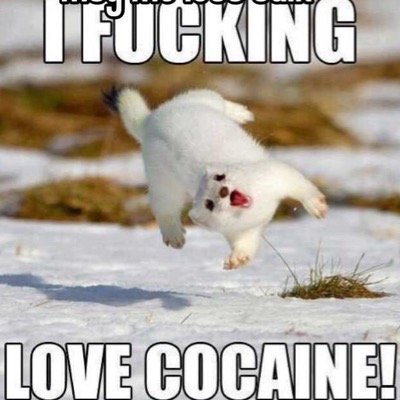 PavillionCowan's profile picture. im a 15 year old gamer from deep texas. only Xbox 360 inv me gt-PaViLlIoN echo