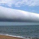 Liane David - @DavidLiane - Twitter